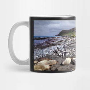 Southern Elephant Seals, Macquarie Island Mug